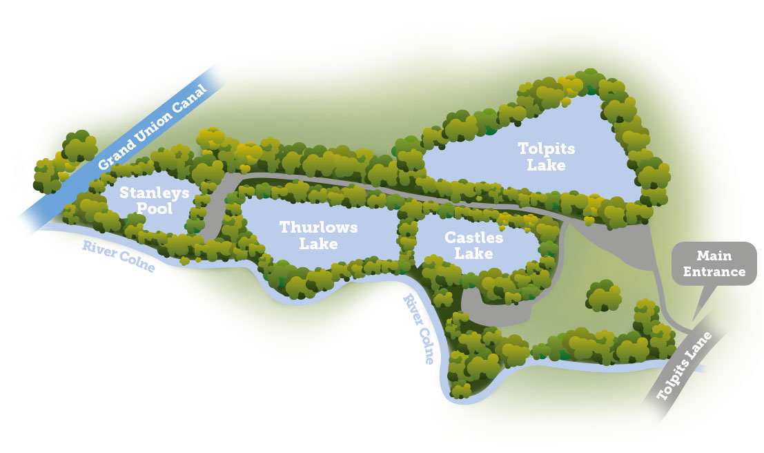 Grand Union Canal – Watford Stretch, from the fishery's own website